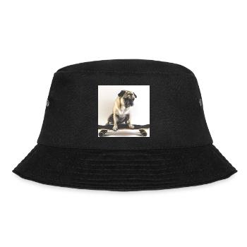 Mops auf Skateboard AICF 4 - Bucket Hat - Schwarz - Vorne - Lela (165cm)