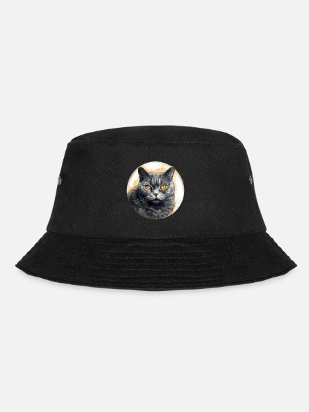 Chat Chartreux - Bob - noir