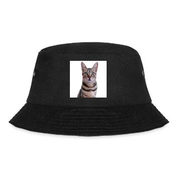 Chat chat chaton doux - Bob - noir - Devant - Lela (165cm)