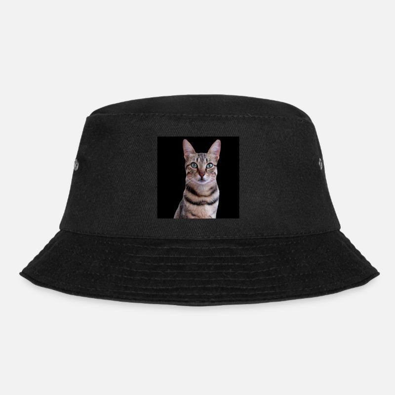 Chats chats - Bob - noir