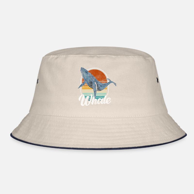 Whale Blue Whale Conservation Diver Bob