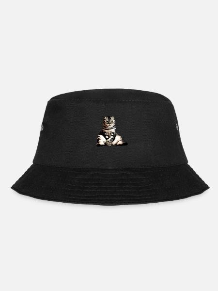 Chats, chat assis, chat - Bob - noir