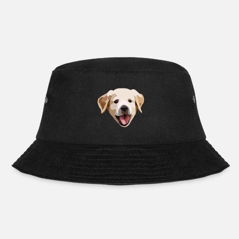 Golden Retriever / Chiot Labrador - Bob - noir