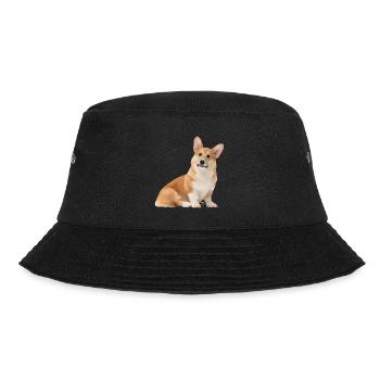 Chien Corgi mignon - Bob - noir - Devant - Lela (165cm)