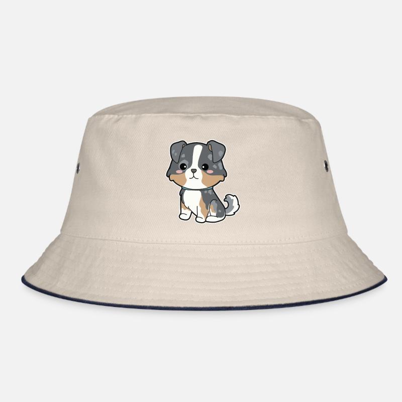 Australian Shepherd Bob