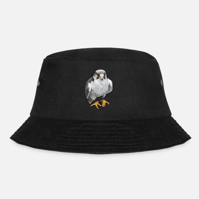 Oiseaux oiseaux de proie Griffes - Bob - noir