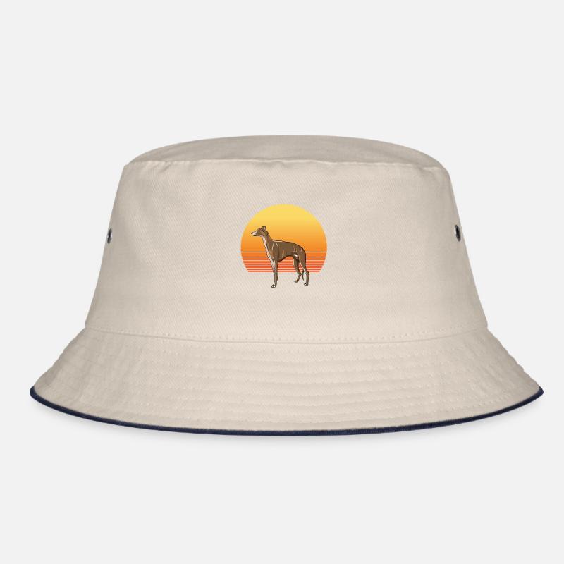 Soleil de lévrier Bob