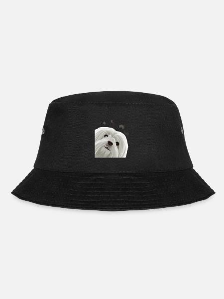 Curious Maltese Dog - Bucket Hat - black