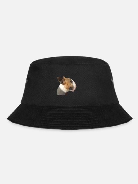 bull-terrier - Bob - noir