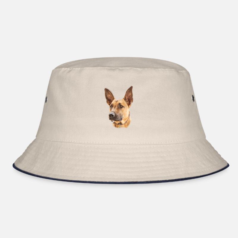 Cadeau de conception de chien belge malinois Bob
