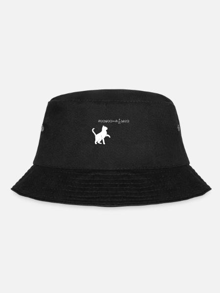 Chat De Schrödinger - physicien cadeau de physique nerd - Bob - noir