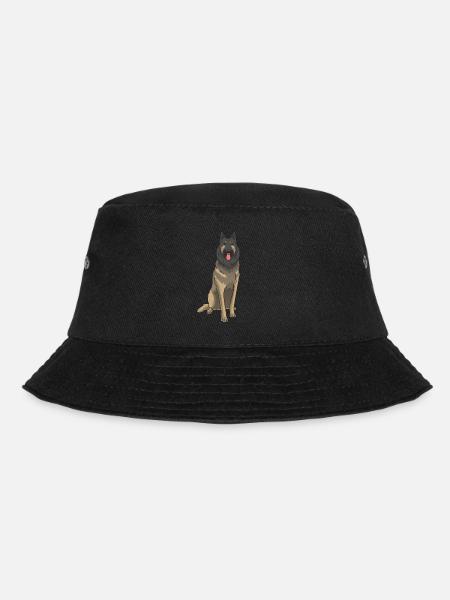 Tervuren Chien Tervuren - Bob - noir