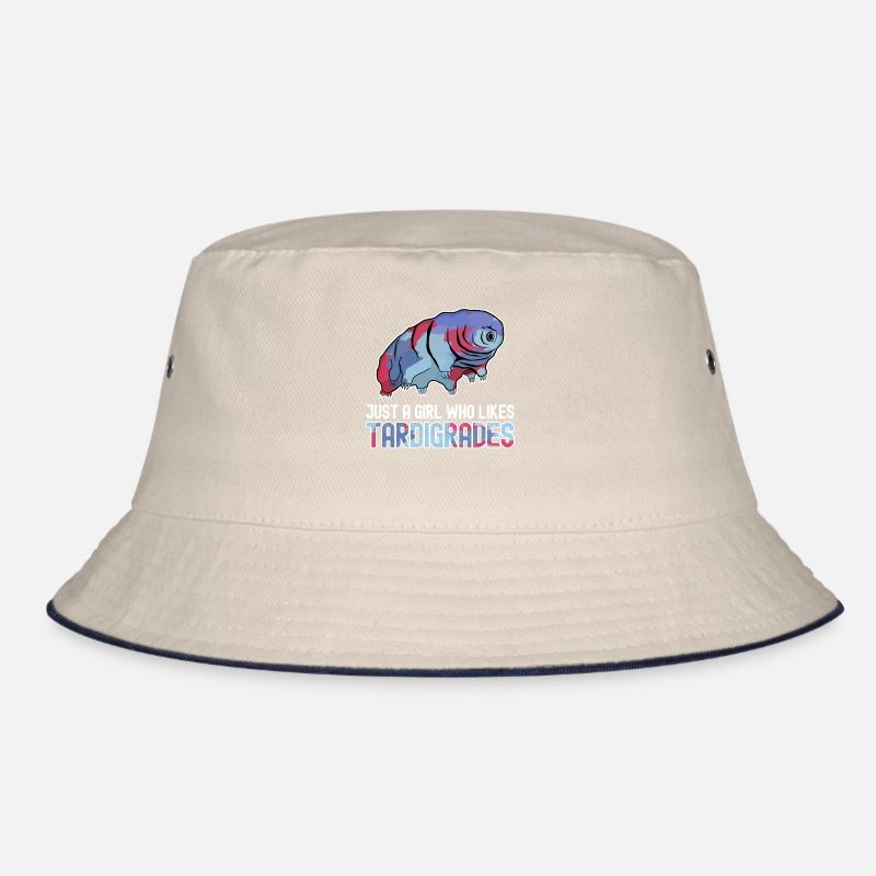 Tardigrade Tardigrades Ourson Bob