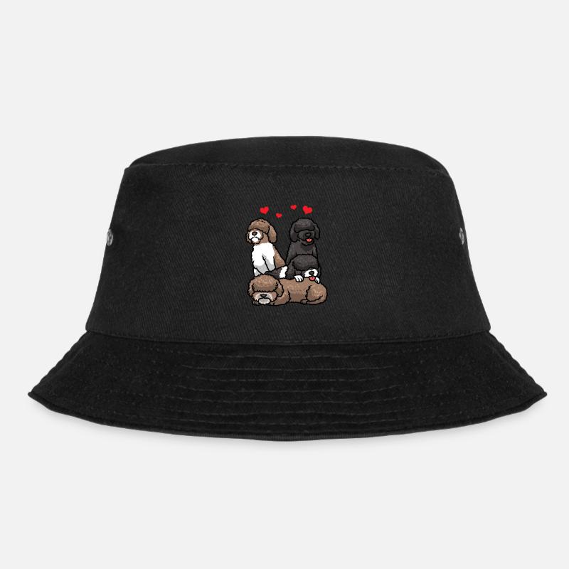 Perro de Agua Español Chien d’eau espagnol - Bob - noir