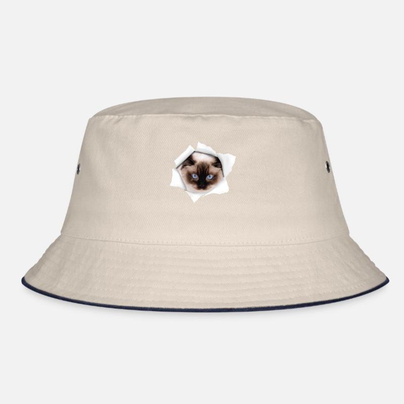 Nice Cat Torn - Ragdoll Cat Bucket Hat