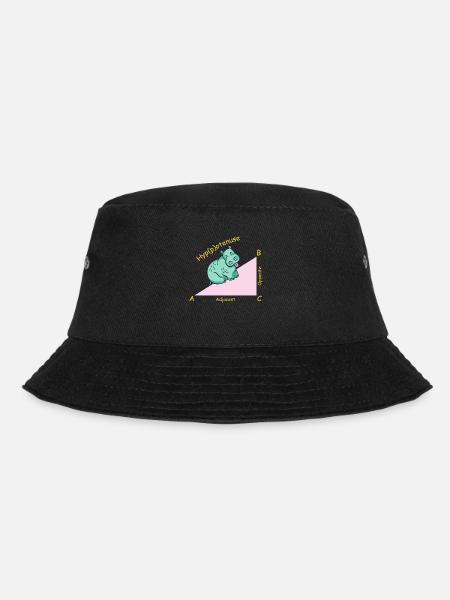 Math teacher mathematician Hippotenuse - Bucket Hat - black
