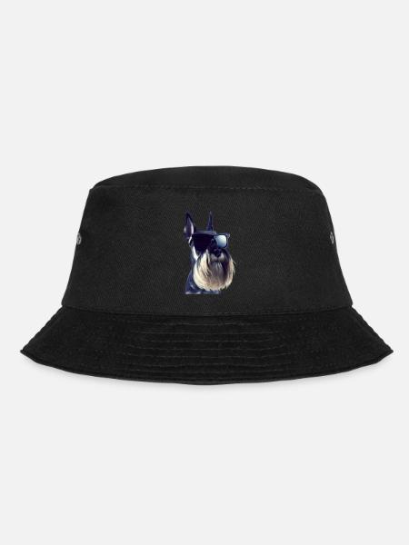 Miniature Schnauzer - Bob - noir