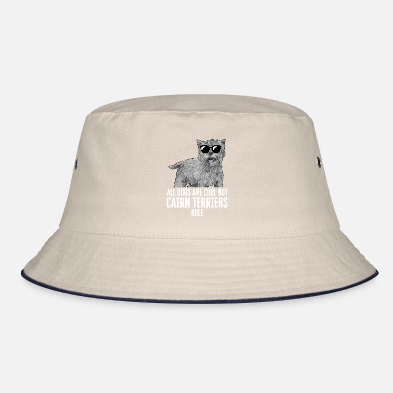 Cairn Terrier Chien Bob