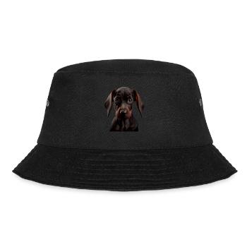 Doberman Dobermans Chien Chiens chiot Doberman - Bob - noir - Devant - Lela (165cm)