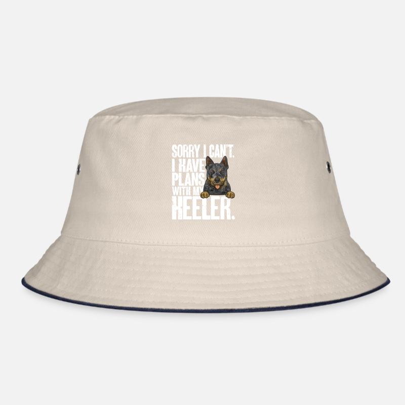 Bouvier australien chien rouge bleu talon Bob