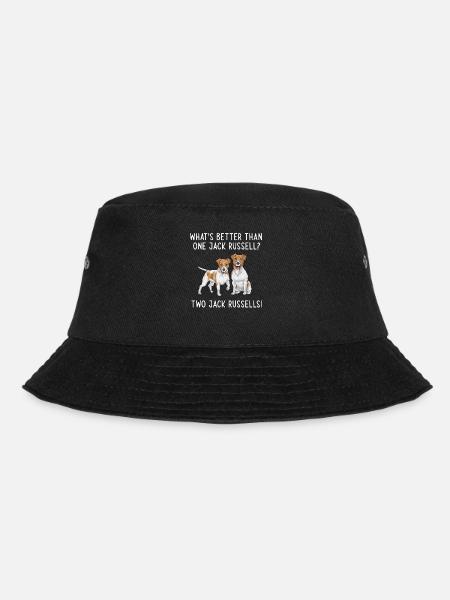 Jack Russell Terrier - Bob - noir