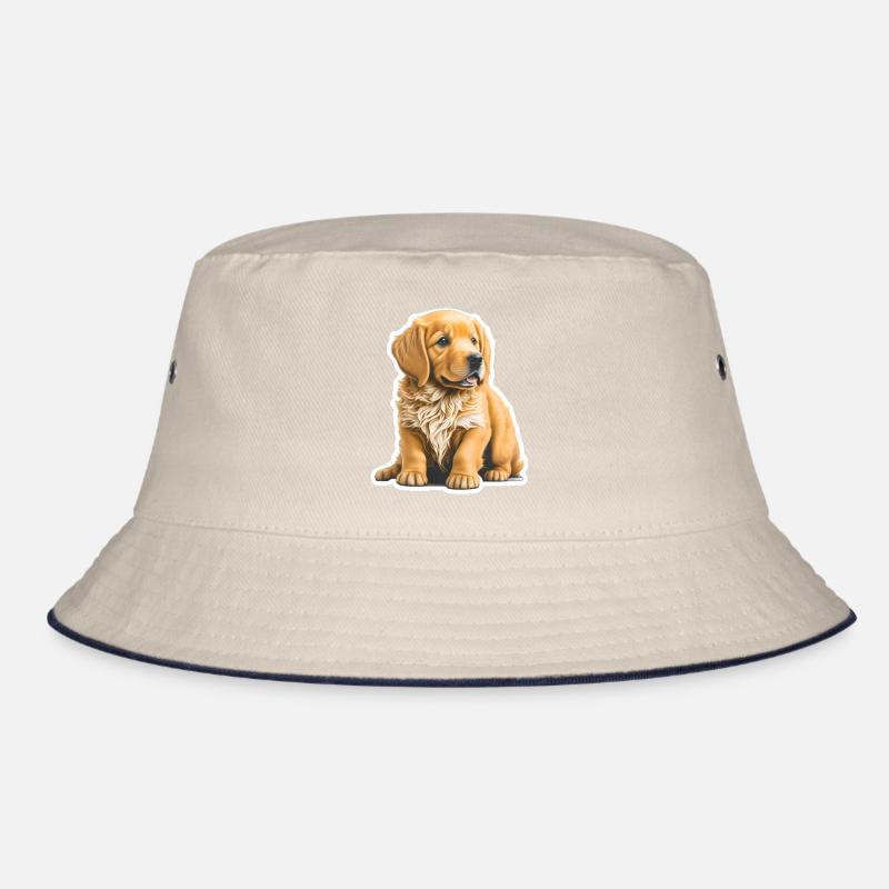 Chiot mignon / chiot Golden Retriever Bob
