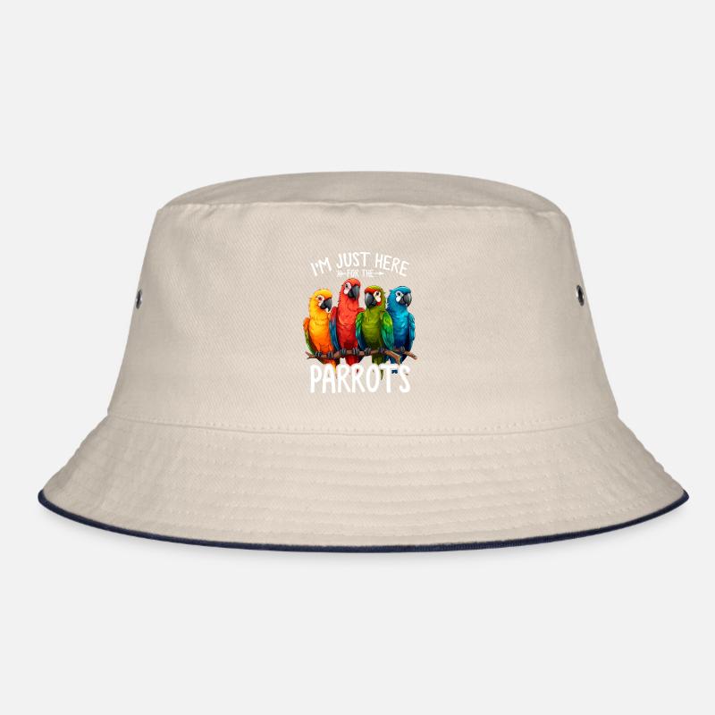 Perroquet Amant Quaker Perroquet Moine Perruche Oiseaux Bob