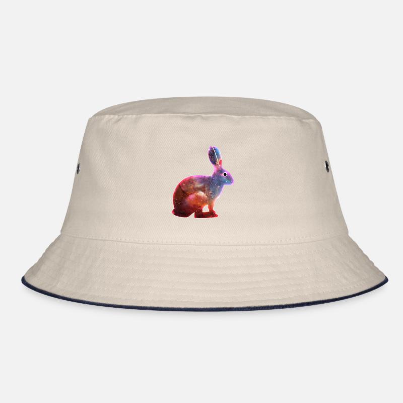 Lapin cosmique et œil de singularité Bob