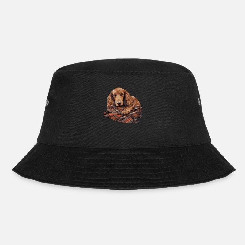 Chien mignon chiot setter irlandais - Bob - noir