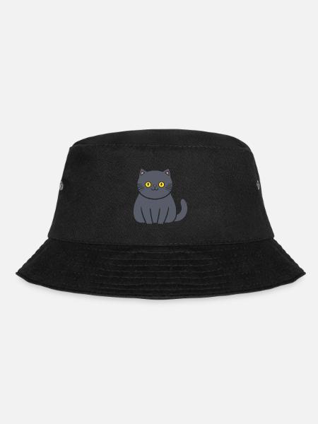 Chartreux petit chat - Bob - noir
