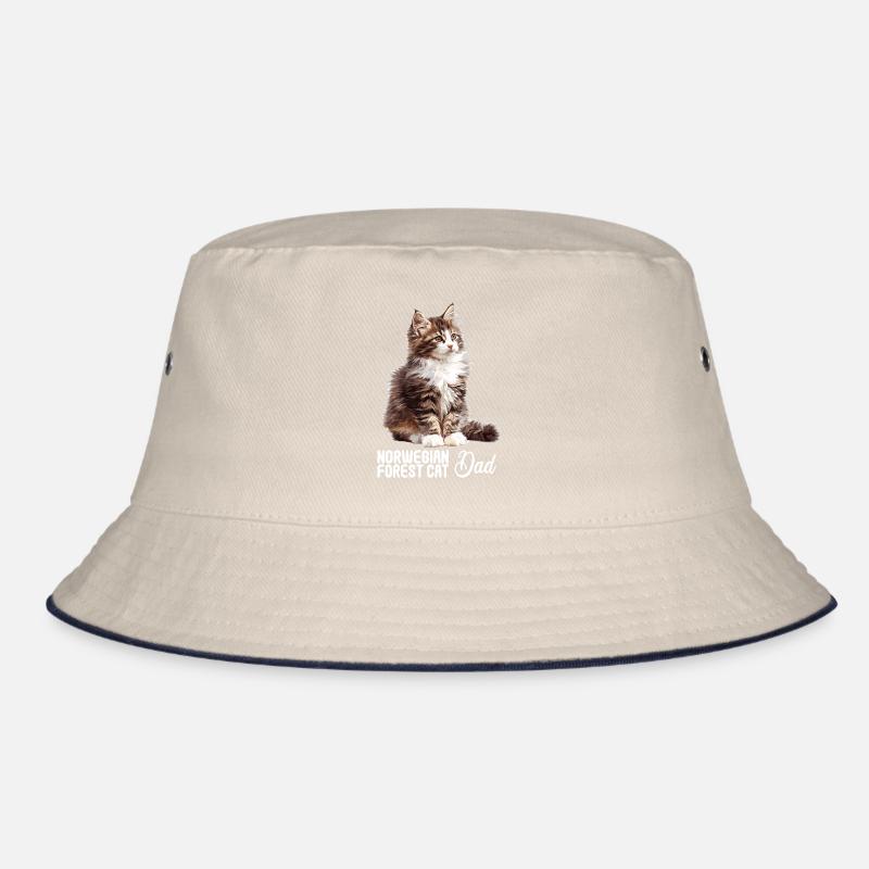Chat des forêts norvégiennes Norwegische Waldkatze Bob