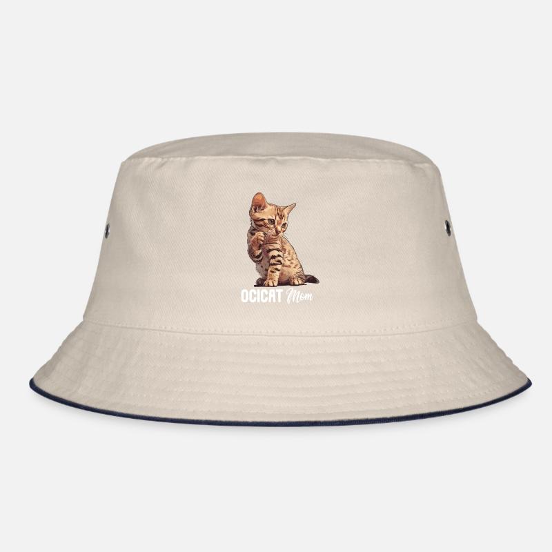 Ocicat Chaton Ocicat Chat Bob