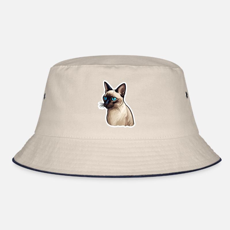 Chat siamois Bob