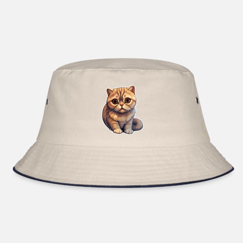 Chat Scottish Fold Bob