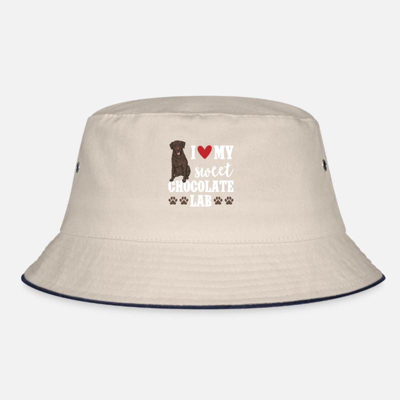 Chien Labrador Retriever brun chocolat Bob