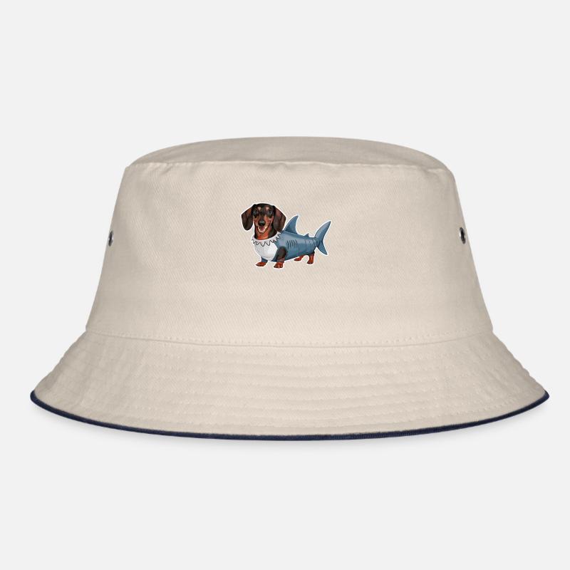 Teckel En Costumes Drôle Requin Bob