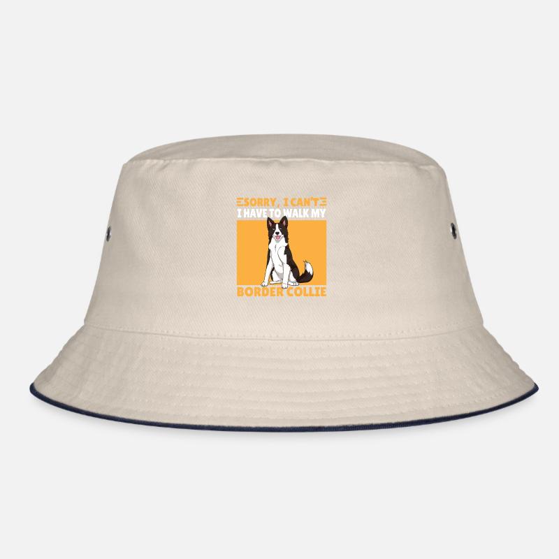 Drôle je ne peux pas border collie chien dire Bob