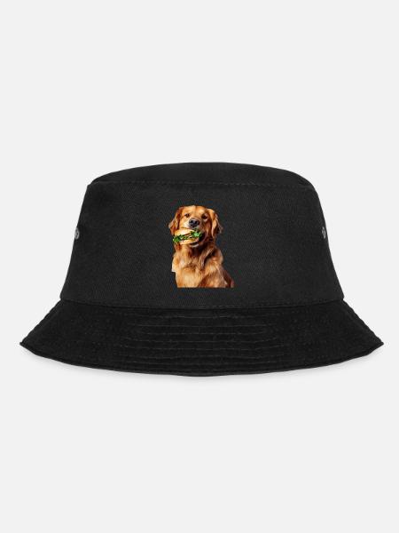 Golden retriever - Bob - noir