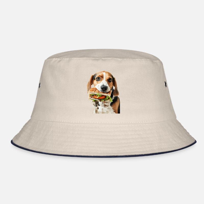 Beagle Bob