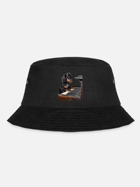Teckel - Bob - noir