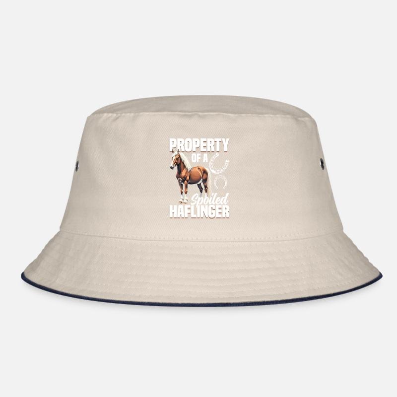 Propriété d’un cheval équestre Haflinger gâté Bob