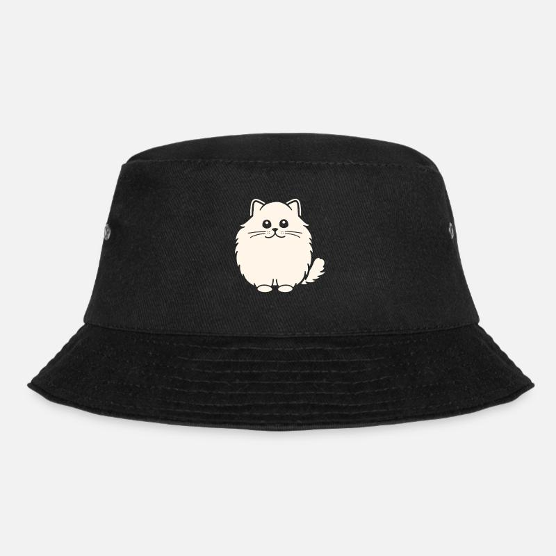 Chat persan - Bob - noir