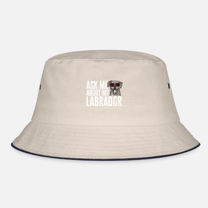 Silver Labrador Retriever Silver Lab Bob