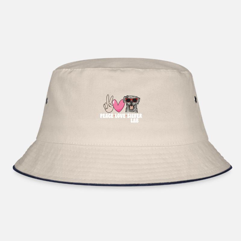 Silver Labrador Retriever Silver Lab Bob