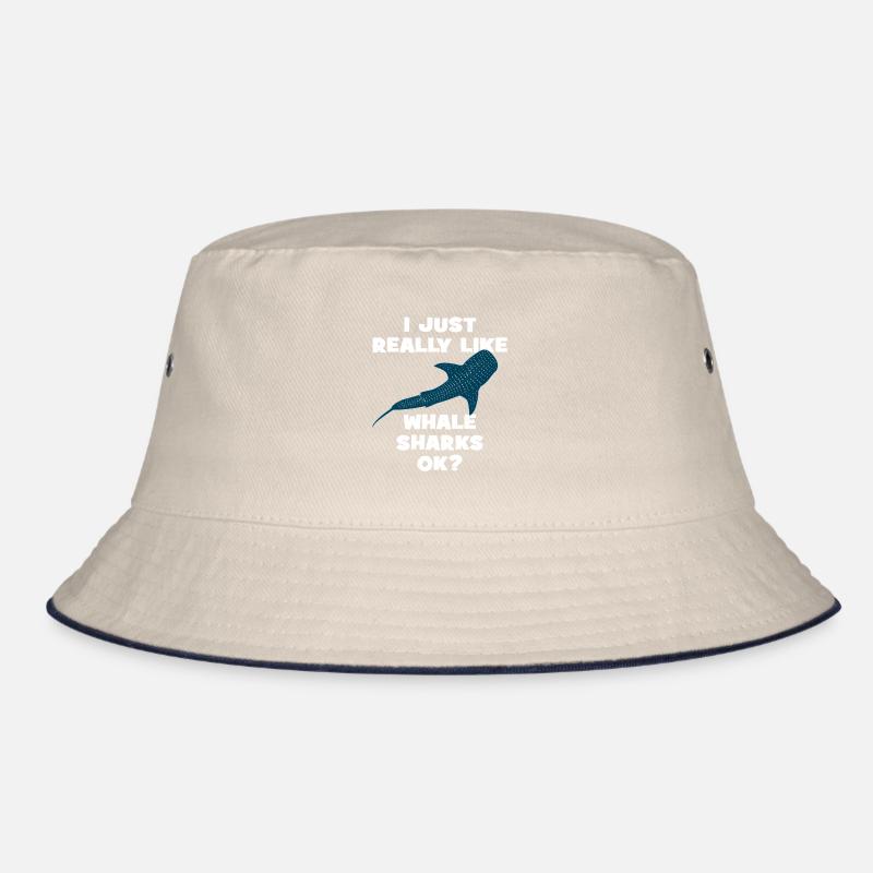 Requin-baleine Bob