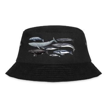 Whales - Whales - Baleines - Mysticeti - Bucket Hat - black - Front - Lela (165cm)