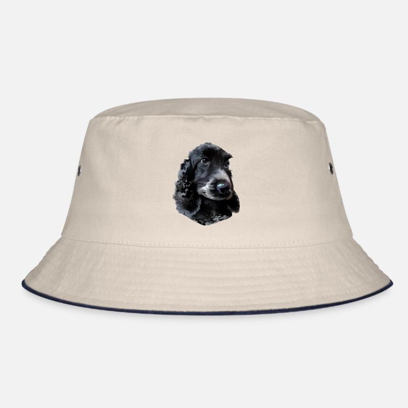 Chien Cocker Spaniel Bob