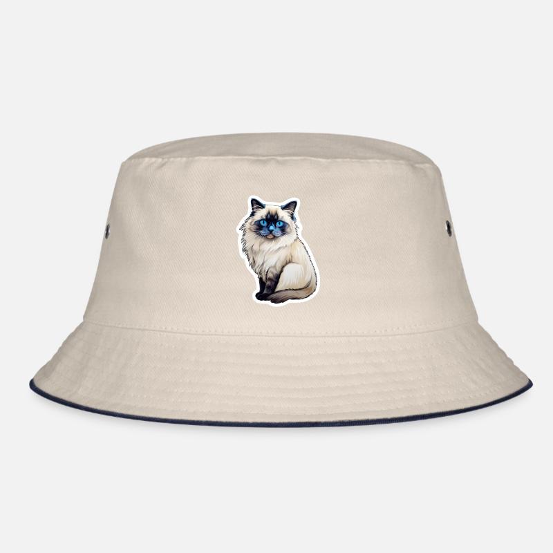Chat Ragdoll Bob