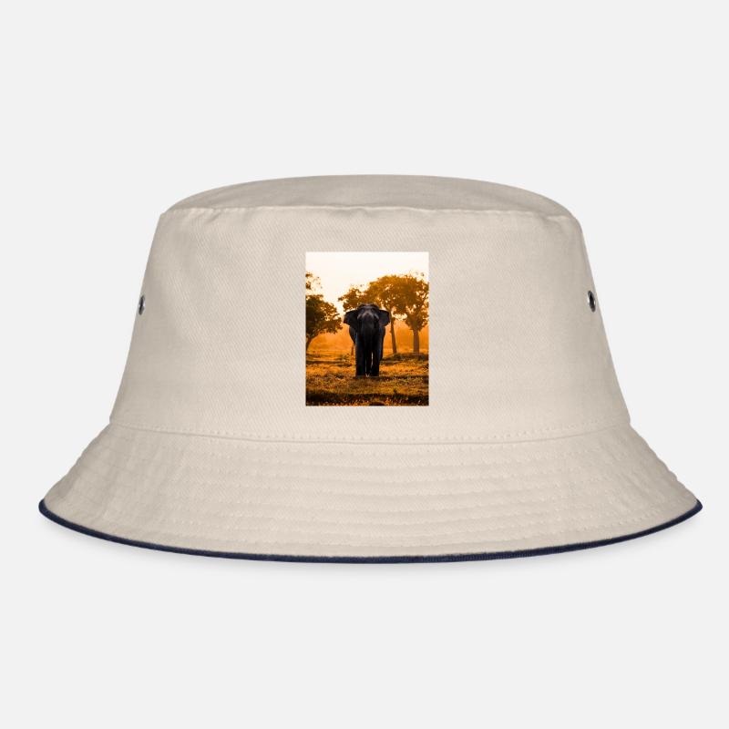 éléphant-arbre-coucher de soleil-lever de soleil Bob