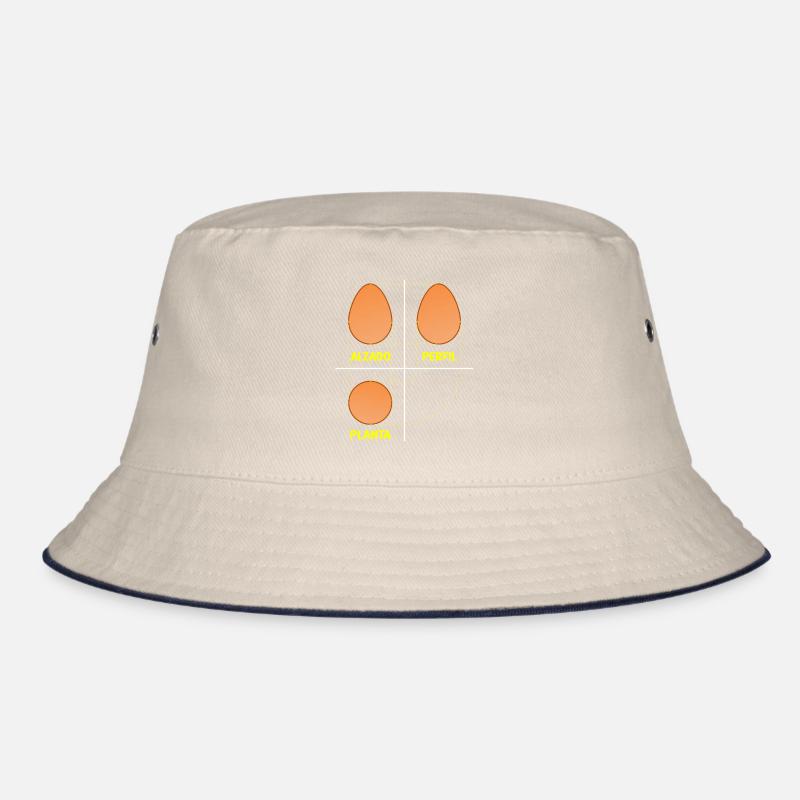 Système d’œufs dièdres pour les architectes Bob